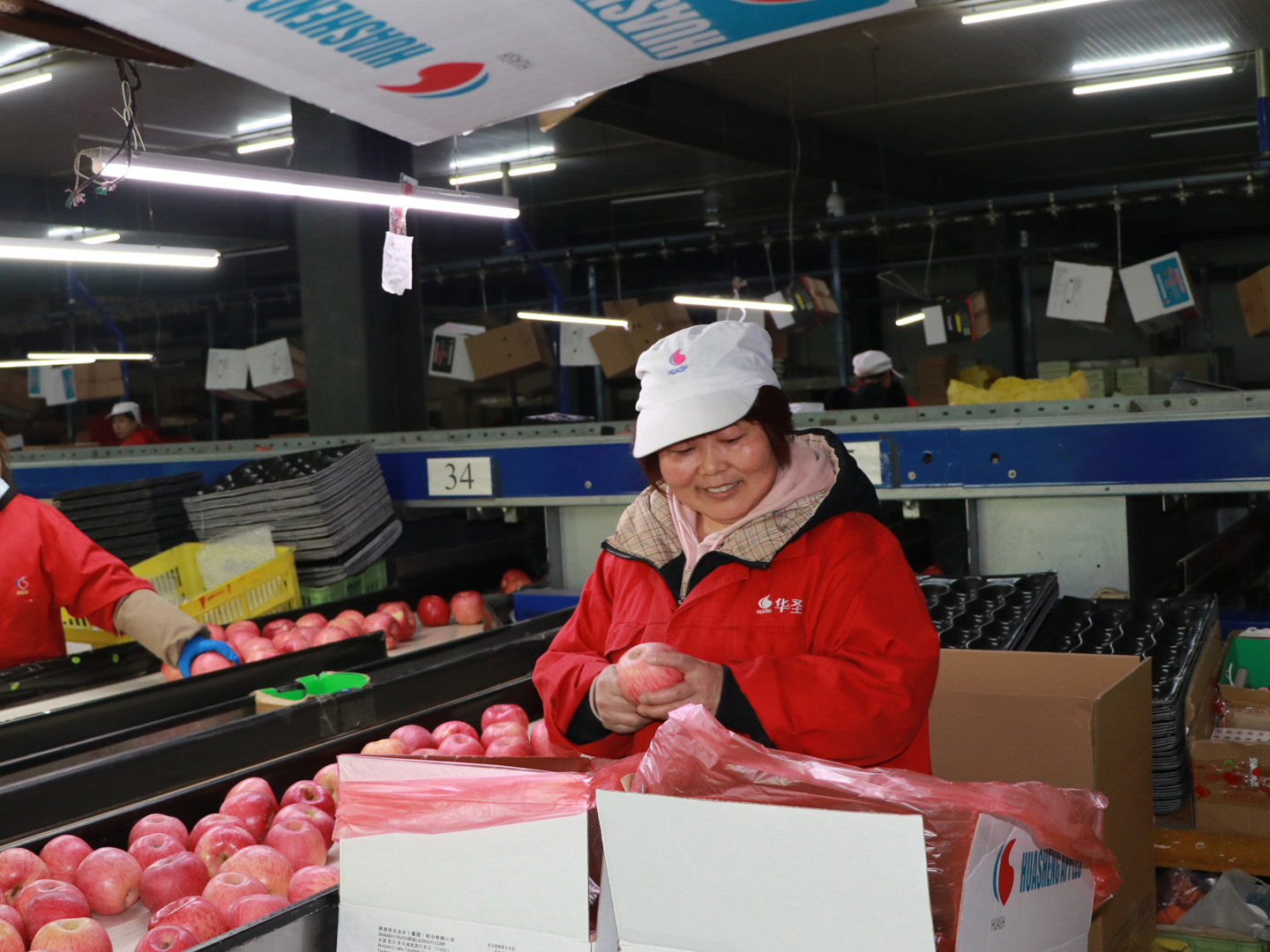 1612705613835928.jpeg 楊金尾.jpg