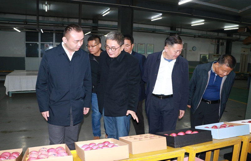 1665590827900191.jpeg 01.jpg