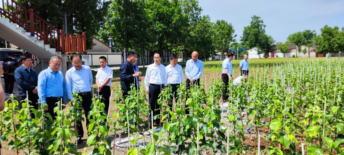 1685493995184204.png 圖片2.png