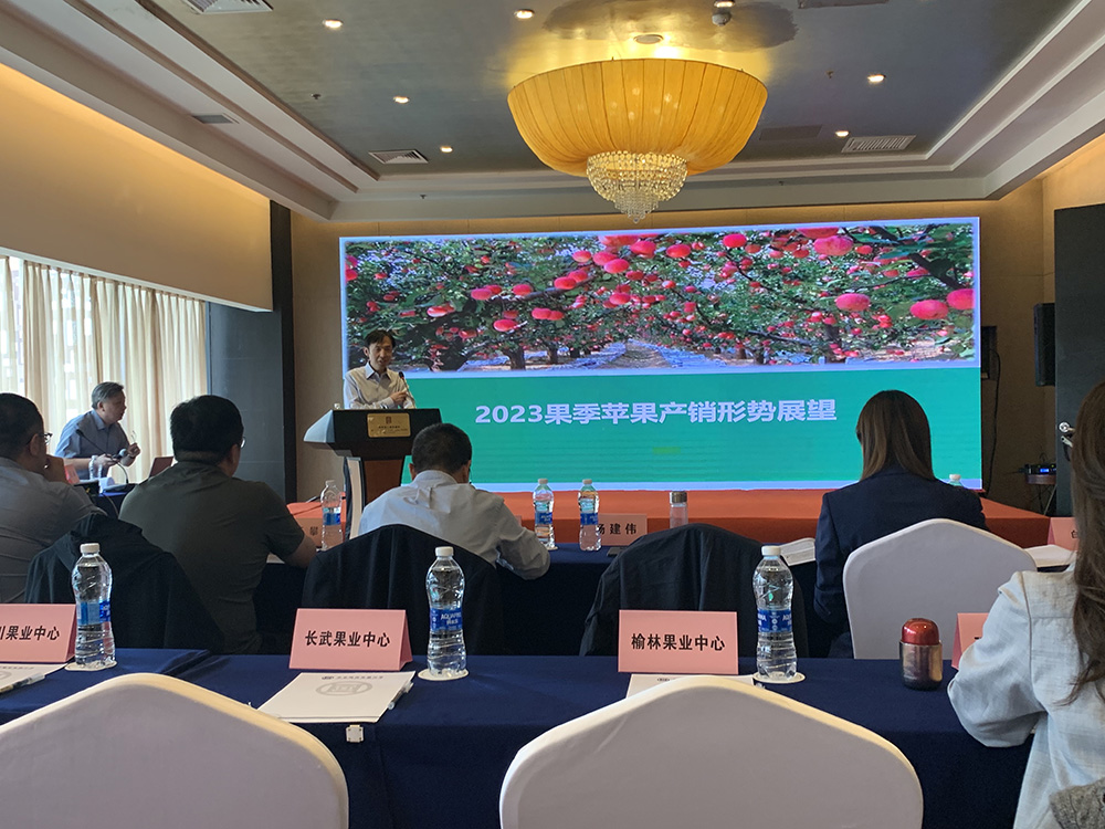 1695706412241787.jpeg 2-1.jpg