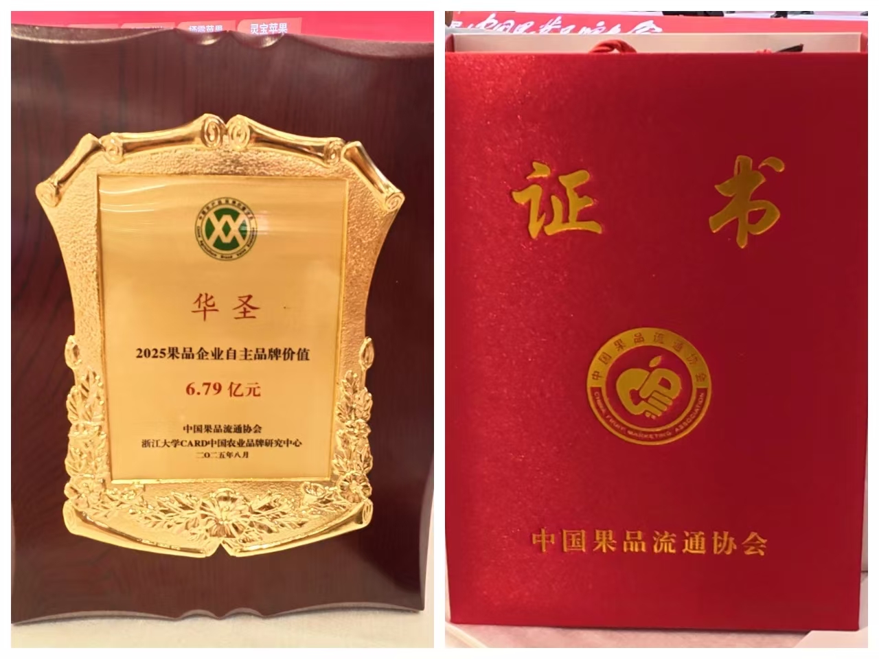 1755918653930539.jpeg 3.jpg