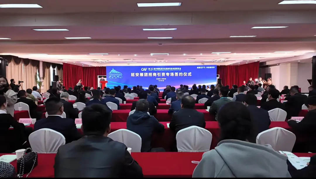 1761405213826925.png 1 .png