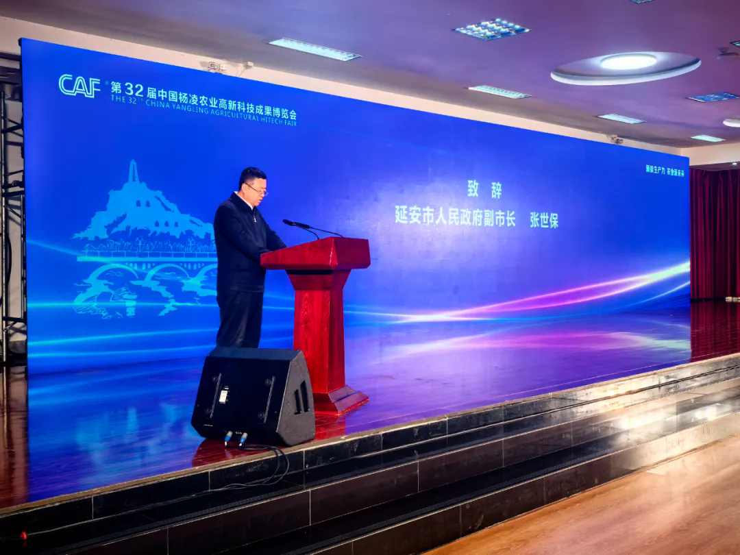 1761405262443208.png 2.png