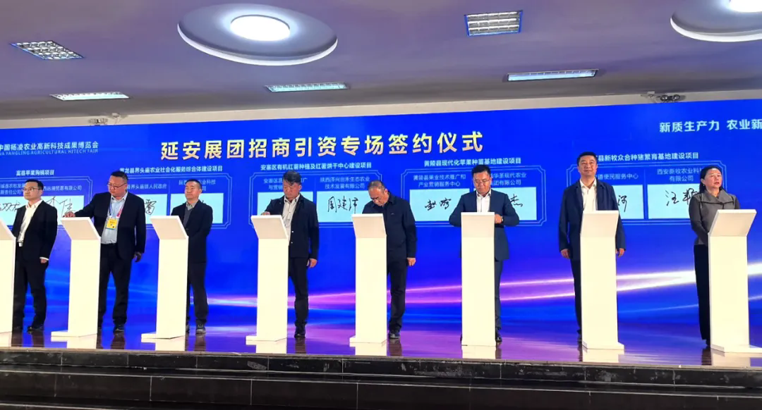 1761405434784654.png 5.png